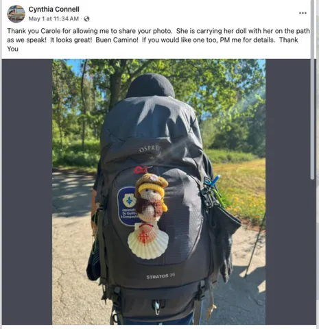 Customer social post featuring Tiny Pilgrim